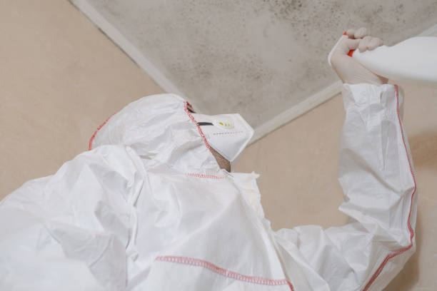 Best Crawl Space Mold Remediation in Flemington, NJ